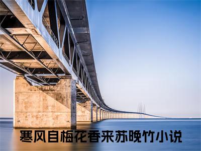 寒风自梅花香来苏晚竹免费完本小说 寒风自梅花香来苏晚竹精彩章节在线阅读