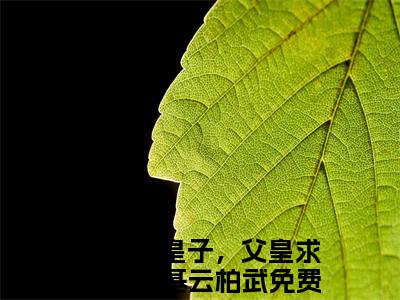 痴傻二皇子，父皇求我快登基云柏武（痴傻二皇子，父皇求我快登基云柏武）全文免费阅读无弹窗_痴傻二皇子，父皇求我快登基云柏武最新小说_笔趣阁（痴傻二皇子，父皇求我快登基云柏武）