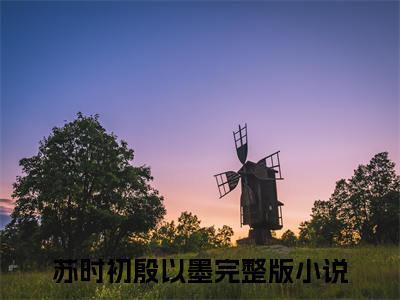 苏时初殷以墨（苏时初殷以墨）无广告免费阅读-苏时初殷以墨小说最后结局如何