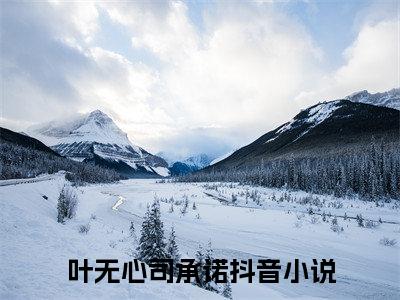 叶无心司承诺免费阅读无弹窗，叶无心司承诺小说大结局全文免费阅读