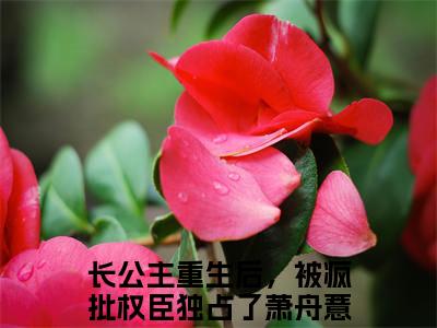 长公主重生后，被疯批权臣独占了萧舟薏（长公主重生后，被疯批权臣独占了萧舟薏）小说全文免费阅读正版无弹窗 长公主重生后，被疯批权臣独占了萧舟薏全文无弹窗阅读