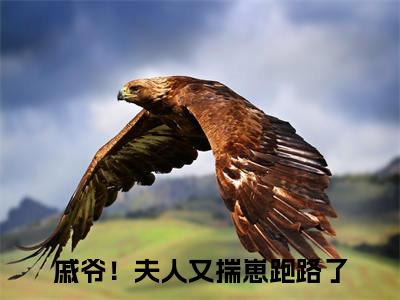 戚锦荣秦颜歌（戚爷！夫人又揣崽跑路了）小说精彩免费内容_戚锦荣秦颜歌最新章节全文阅读（戚爷！夫人又揣崽跑路了）