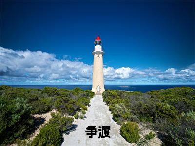 争渡（姜雨丰苏念安）全文免费阅读-（姜雨丰苏念安无弹窗阅读）最新章节小说免费阅读