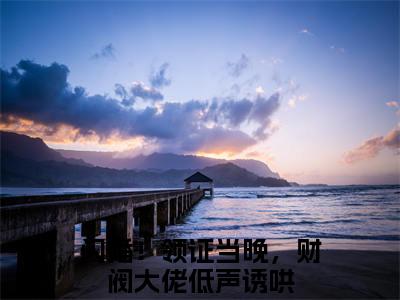 江晚陆辞年（闪婚！领证当晚，财阀大佬低声诱哄）小红书热荐小说-江晚陆辞年女生爱看的小说全集资源