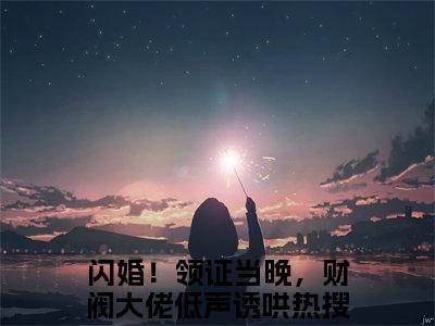 闪婚！领证当晚，财阀大佬低声诱哄全文免费阅读_闪婚！领证当晚，财阀大佬低声诱哄（江晚陆辞年免费阅读无弹窗）江晚陆辞年最新章节在线阅读笔趣阁