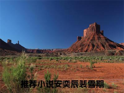 安奕辰裴雪期全集小说（爱如指间沙）全文免费阅读无弹窗大结局_爱如指间沙最新章节列表_笔趣阁（安奕辰裴雪期）