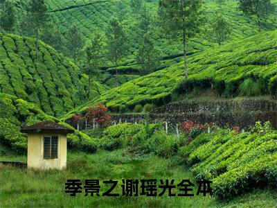 季景之谢瑶光（季景之谢瑶光）全文免费阅读无弹窗大结局_季景之谢瑶光最新章节列表_笔趣阁（季景之谢瑶光）