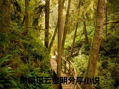 萧翊琛云萱明小说小说全集免费阅读 萧翊琛云萱明章节目录