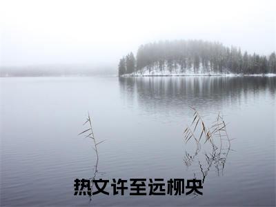 漂亮军嫂不随军，冷面军官他慌了（许至远柳央）全文免费阅读无弹窗大结局_漂亮军嫂不随军，冷面军官他慌了最新章节列表_笔趣阁（许至远柳央）