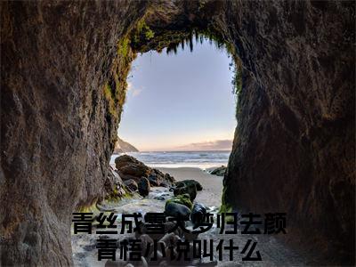 青丝成雪大梦归去颜青梧免费阅读无弹窗，青丝成雪大梦归去颜青梧小说大结局全文免费阅读