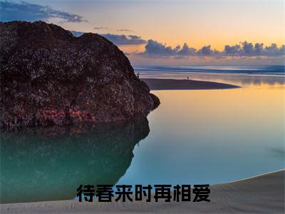 傅寒姜虞（待春来时再相爱）免费最新小说_待春来时再相爱（傅寒姜虞）免费版今日已更新