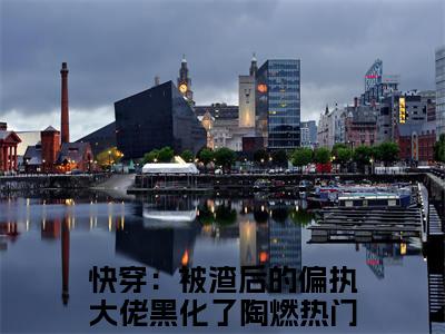 快穿：被渣后的偏执大佬黑化了陶燃全文免费完整版-快穿：被渣后的偏执大佬黑化了陶燃小说阅读