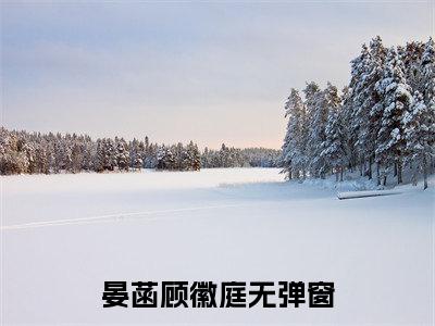 晏菡顾徽庭小说（晏菡顾徽庭）全文免费阅读无弹窗大结局_(晏菡顾徽庭小说免费阅读)晏菡顾徽庭小说最新章节列表_笔趣阁