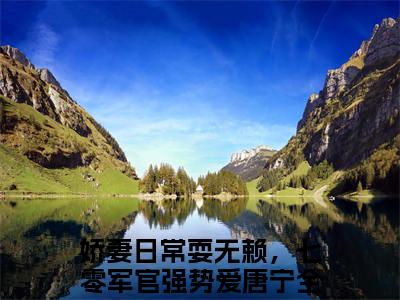 娇妻日常耍无赖，七零军官强势爱唐宁（娇妻日常耍无赖，七零军官强势爱唐宁）免费阅读无弹窗大结局-娇妻日常耍无赖，七零军官强势爱唐宁免费阅读大结局最新章节列表_笔趣阁