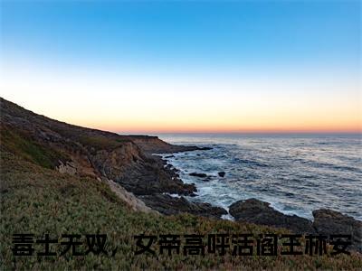 毒士无双，女帝高呼活阎王林安(毒士无双，女帝高呼活阎王林安)全文免费阅读无弹窗大结局_毒士无双，女帝高呼活阎王林安最新章节列表_笔趣阁