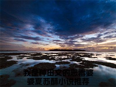 我是种田文的恶毒婆婆夏苏酥抖音近期热门小说-我是种田文的恶毒婆婆夏苏酥完结版在线阅读