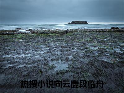 刻舟于逆流之河向云鹿段临舟免费阅读无弹窗小说刻舟于逆流之河最新章节