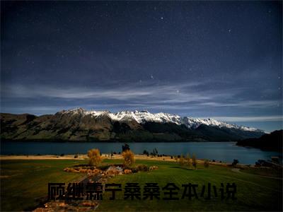 顾继霖宁桑桑（顾继霖宁桑桑）小说全文免费阅读-顾继霖宁桑桑在线阅读的小说完整版