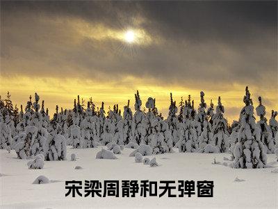 宋梁周静和(宋梁周静和)全文免费阅读无弹窗大结局_宋梁周静和全文免费阅读最新章节列表_笔趣阁（宋梁周静和）
