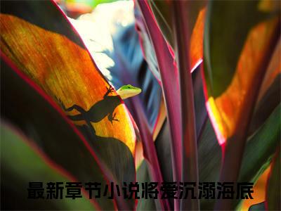 将爱沉溺海底（姜倾苒萧闻屿）免费阅读无弹窗大结局_将爱沉溺海底小说（姜倾苒萧闻屿）免费阅读最新章节列表