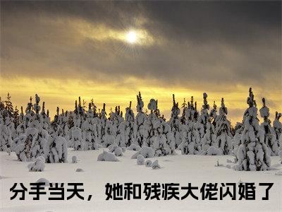 分手当天，她和残疾大佬闪婚了（谢清辉苏若晚）全文免费阅读无弹窗大结局_（分手当天，她和残疾大佬闪婚了小说全文免费阅读）最新章节列表