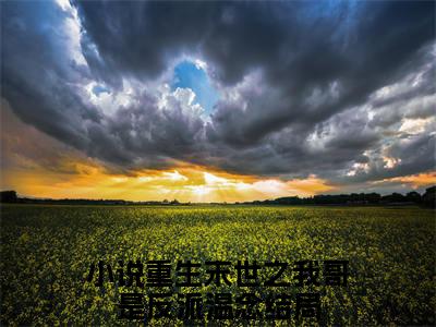 重生末世之我哥是反派温念小说在线阅读全文完整版免费阅读_重生末世之我哥是反派温念小说免费最新章节列表