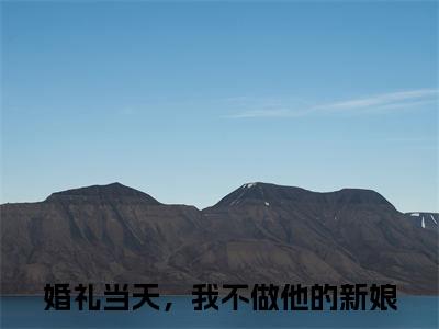 主角婚礼当天，我不做他的新娘小说盛纤纤叶南辰小说全文免费阅读（免费）+（番外）