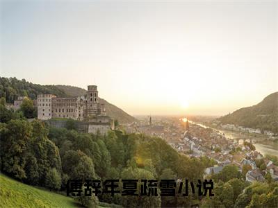 傅辞年夏疏雪小说全文免费阅读（傅辞年夏疏雪）全文免费阅读无弹窗大结局_（傅辞年夏疏雪）傅辞年夏疏雪结局最新章节列表_笔趣阁（傅辞年夏疏雪）