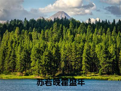 苏若晚霍盛年小说精选片段阅读-苏若晚霍盛年小说免费版最新更新阅读