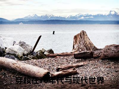 穿梭在70年代与现代世界无广告小说（林清妍顾一舟）全文免费阅读无弹窗大结局-穿梭在70年代与现代世界在线阅读