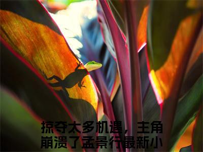 掠夺太多机遇，主角崩溃了孟景行后续+全集（掠夺太多机遇，主角崩溃了孟景行）全文免费阅读无弹窗大结局_（掠夺太多机遇，主角崩溃了孟景行后续+全集免费阅读无弹窗）掠夺太多机遇，主角崩溃了孟景行后续+全集最新章节列表_笔趣阁（掠夺太多机遇，主角崩溃了孟景行）