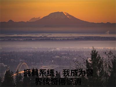 拥有系统：我成为警界传奇傅惊涛免费阅读无弹窗 拥有系统：我成为警界传奇傅惊涛最新章节