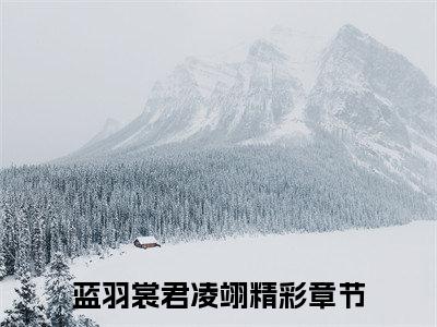 蓝羽裳君凌翊小说免费阅读无弹窗-蓝羽裳君凌翊（夕颜花开与君诀）小说免费阅读无弹窗大结局