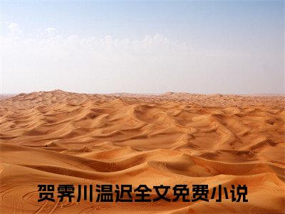 （不枉风月）贺霁川温迟小说全文免费_（不枉风月）最新章节列表笔趣阁