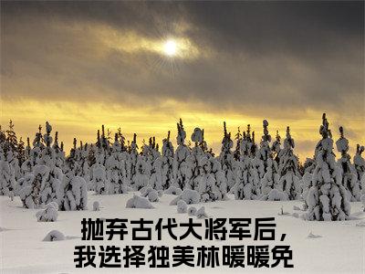 小说抛弃古代大将军后，我选择独美林暖暖全文免费阅读无弹窗大结局-抛弃古代大将军后，我选择独美林暖暖在线阅读