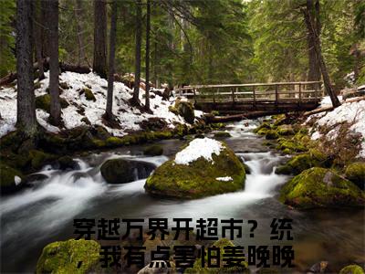 穿越万界开超市？统，我有点害怕姜晚晚小说（穿越万界开超市？统，我有点害怕姜晚晚）全文免费阅读大结局_（穿越万界开超市？统，我有点害怕姜晚晚）穿越万界开超市？统，我有点害怕姜晚晚小说最新章节列表_笔趣阁（穿越万界开超市？统，我有点害怕姜晚晚）