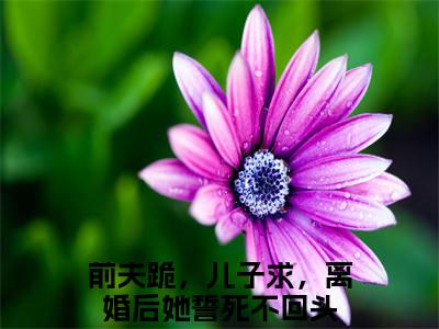 顾行川苏洛（前夫跪，儿子求，离婚后她誓死不回头）全文免费阅读无弹窗_（前夫跪，儿子求，离婚后她誓死不回头）小说最新章节列表笔趣阁