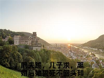 顾行川苏洛（前夫跪，儿子求，离婚后她誓死不回头全文在线阅读）-顾行川苏洛（前夫跪，儿子求，离婚后她誓死不回头）免费阅读
