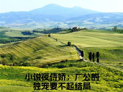 夜侍娇：厂公的独宠要不起（苏沅陆忱）全章节完整版免费小说_夜侍娇：厂公的独宠要不起最新章节在线阅读_笔趣阁