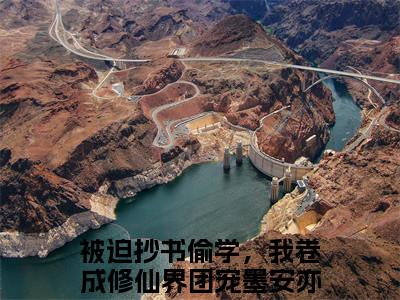 被迫抄书偷学，我卷成修仙界团宠墨安亦小说在线阅读（被迫抄书偷学，我卷成修仙界团宠墨安亦）全文免费阅读大结局_被迫抄书偷学，我卷成修仙界团宠墨安亦最新章节列表笔趣阁