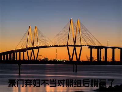 豪门弃妇不当对照组后躺赢了（孟初沅陆擎野）全文免费阅读无弹窗大结局_（孟初沅陆擎野免费阅读全文大结局）最新章节列表