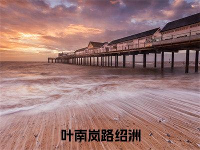 叶南岚路绍洲（叶南岚路绍洲）小说全文免费阅读无弹窗大结局_叶南岚路绍洲最新章节列表笔趣阁（叶南岚路绍洲）