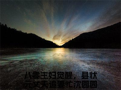 八零主妇觉醒，县状元丈夫追妻忙沈园园（八零主妇觉醒，县状元丈夫追妻忙沈园园）全网首发小说-小说八零主妇觉醒，县状元丈夫追妻忙沈园园完整版全文在线赏析