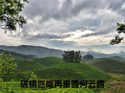 破镜岂能再重圆何云露（破镜岂能再重圆何云露）全文免费阅读无弹窗大结局_(破镜岂能再重圆何云露免费阅读)破镜岂能再重圆何云露最新章节列表_笔趣阁