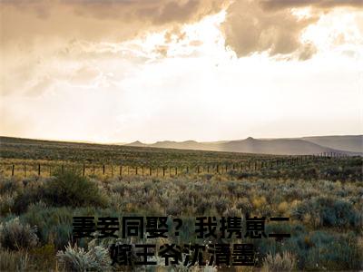 妻妾同娶？我携崽二嫁王爷沈清墨独家小说-妻妾同娶？我携崽二嫁王爷沈清墨无删版小说推荐