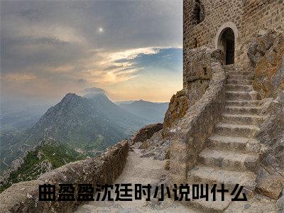 美文摘抄曲盈盈沈廷时-小说大结局免费阅读