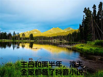 李长英周棠宁全文免费在线阅读_主母和离半年，渣夫全家都疯了全文免费阅读无弹窗大结局