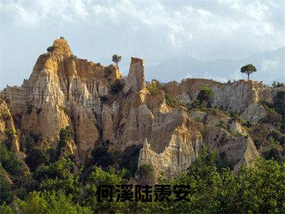 何溪陆羡安全文免费（穿成绿茶女配，踹男主，嫁军官）全集小说完整版大结局-何溪陆羡安全文阅读无弹窗