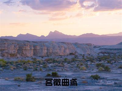 新上热文宫徵曲鸢-宫徵曲鸢在线阅读的小说完整版
