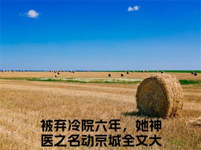 叶倾城小说全文（被弃冷院六年，她神医之名动京城）在线阅读-叶倾城全文免费阅读无弹窗大结局